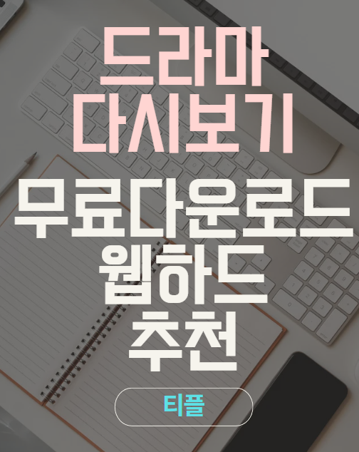 비제휴 무료다운로드 웹하드추천 드라마다시보기 정주행 티플