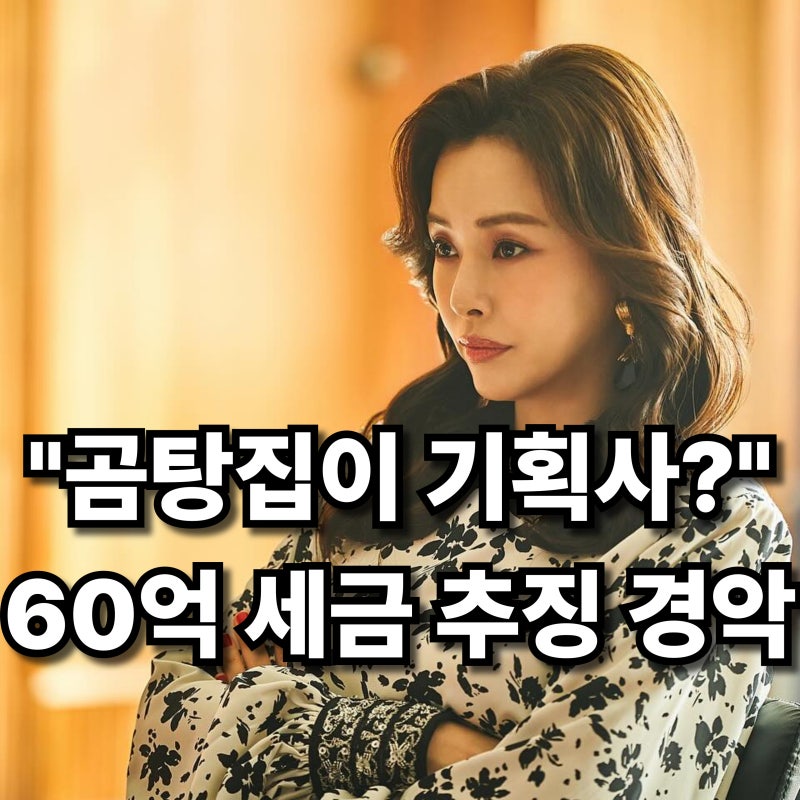 이하늬 곰탕집 기획사 실체? 60억 세금 추징에 남편 정체까지 충격