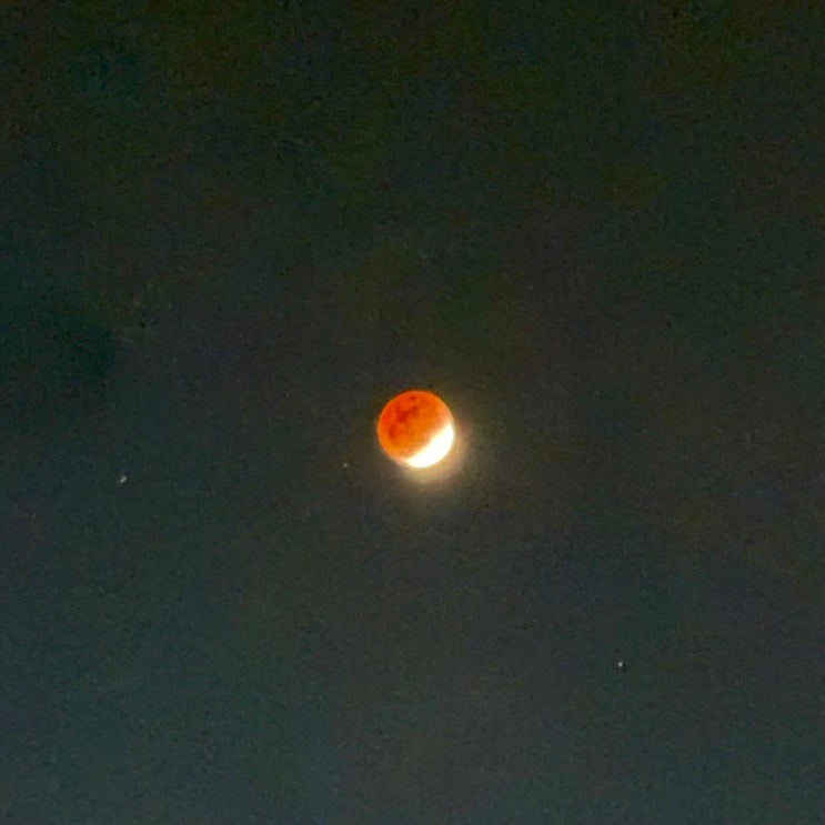  오르락 내리락
