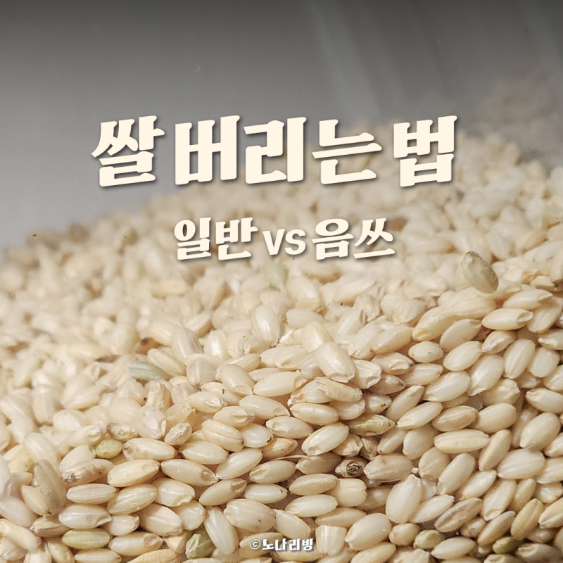 유통기한 지난 오래된 쌀 버리는 법과 보관 방법