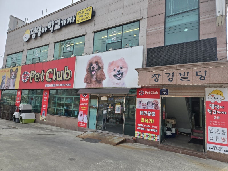 사진 5