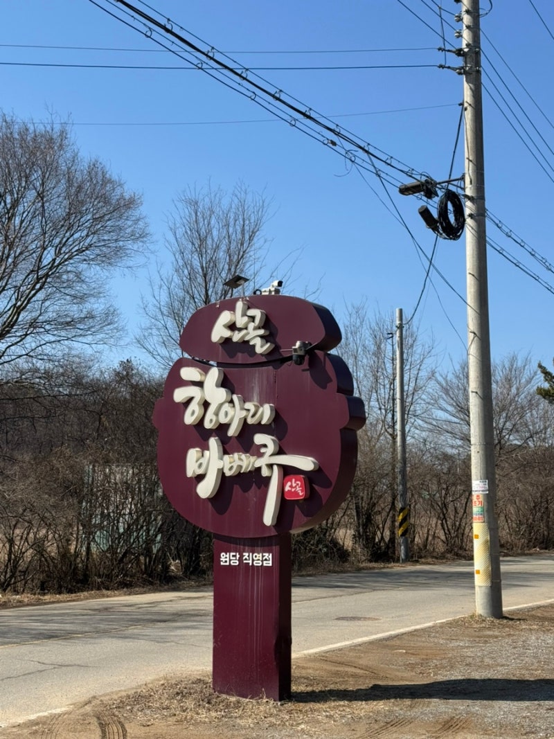사진 3