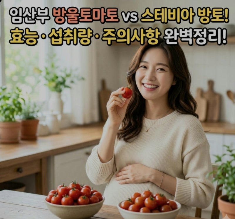 스테비아 방울토마토 임산부 알아야 할 효능 부작용 2가지