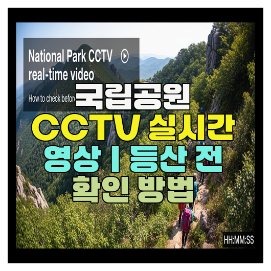 국립공원 CCTV 실시간 영상｜등산 전 확인 방법