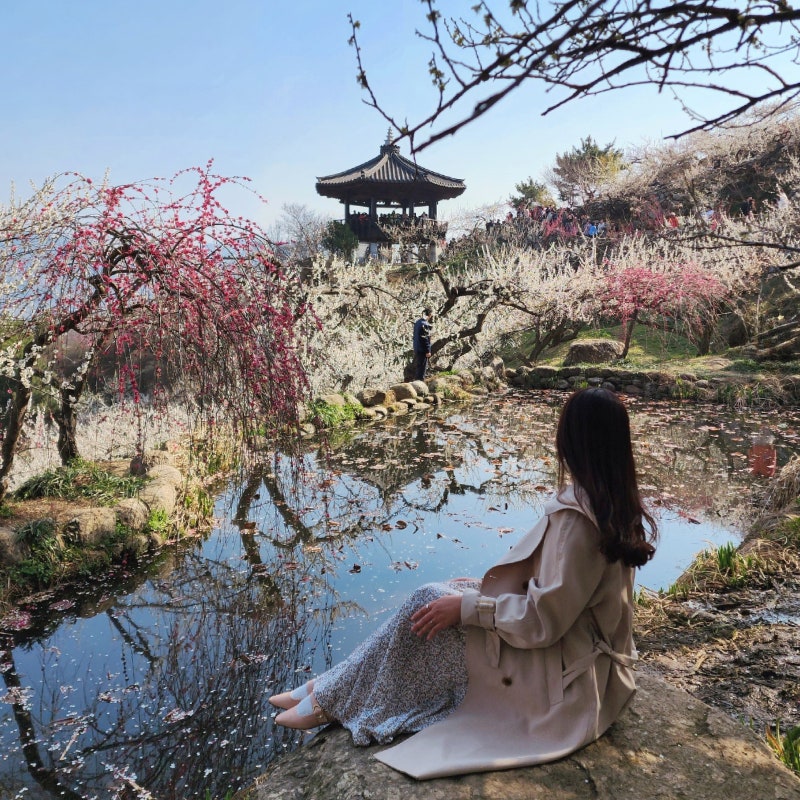 사진 6