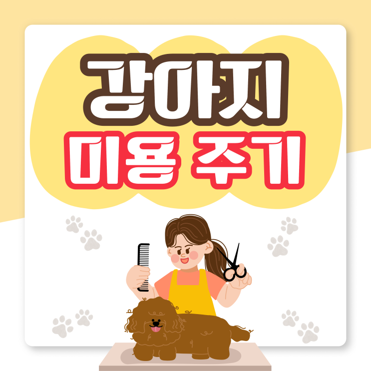  강아지미용주기 얼마나 해야 할까? 견종별 관리 방법까지 정리