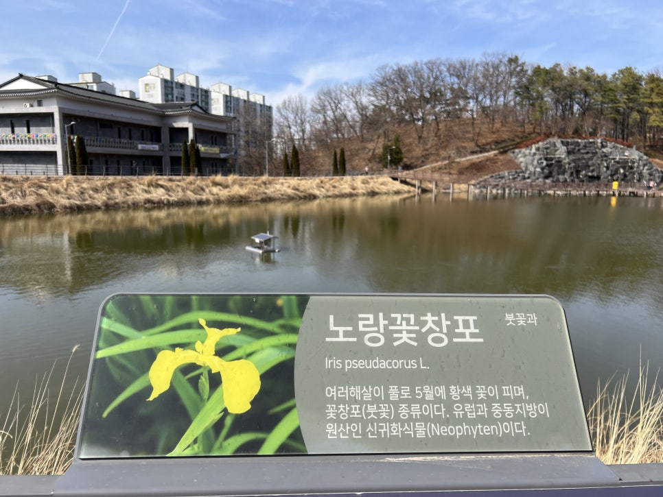 한국식당 사진 4