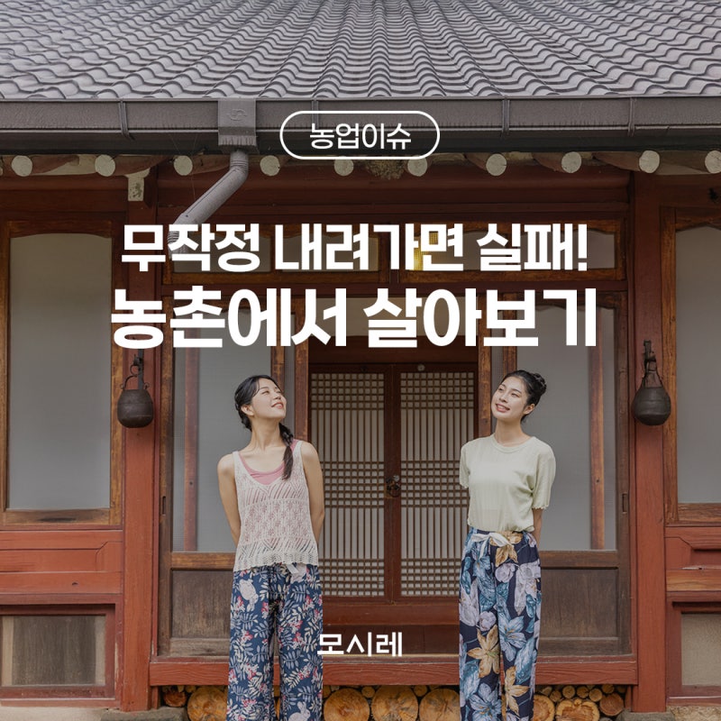 2026 농촌에서 살아보기 완전 정복: 로망을 현실로 만드는 지역별 가이드와 성공 비결