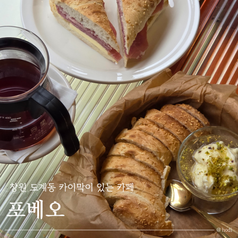 사진 5