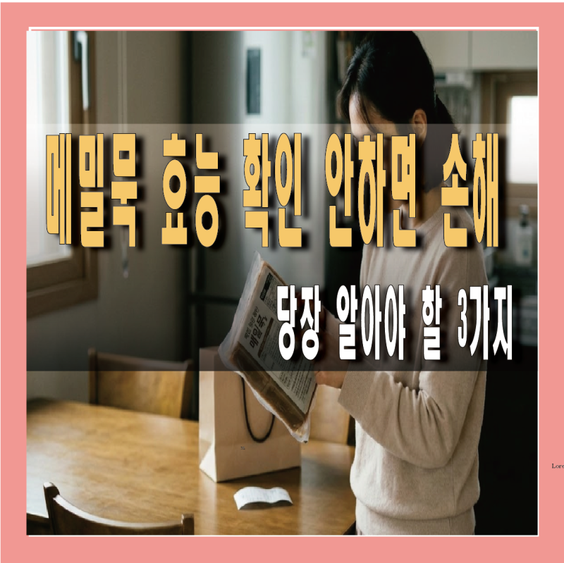 메밀묵 효능 확인 안 하고 먹으면 손해? 당장 알아야 할 3가지