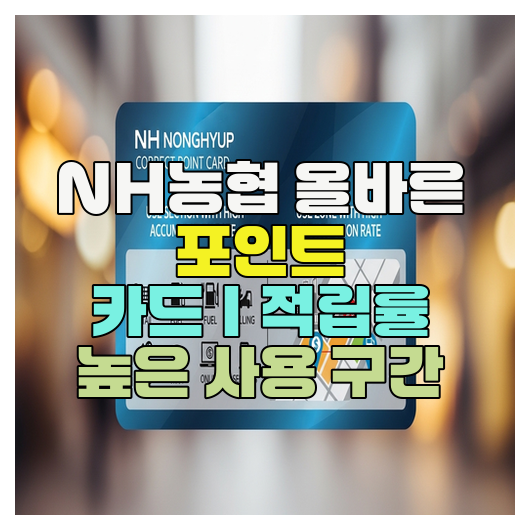  NH농협 올바른 포인트 카드｜적립률 높은 사용 구간