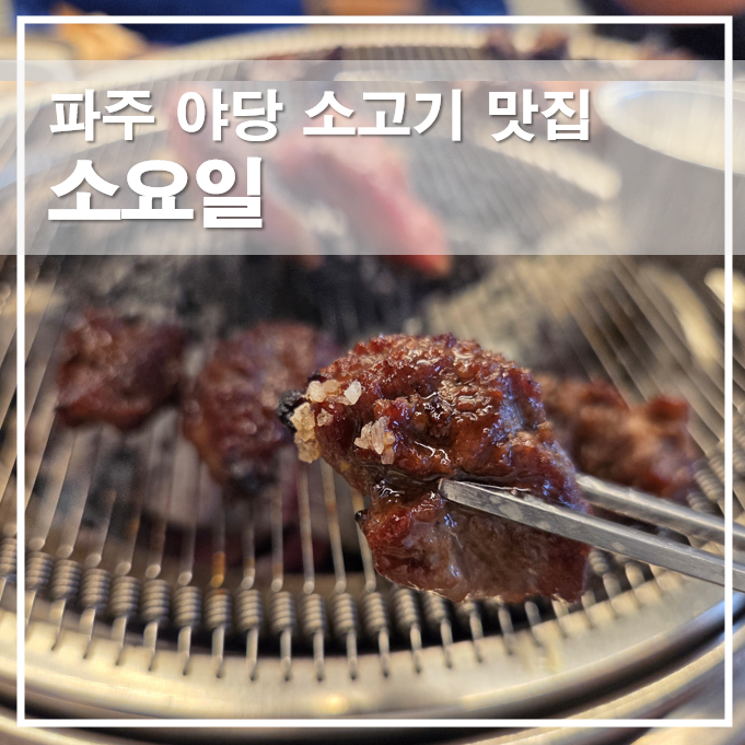  파주 야당 소고기 맛집 소요일, 가족외식하기 좋은 고기집