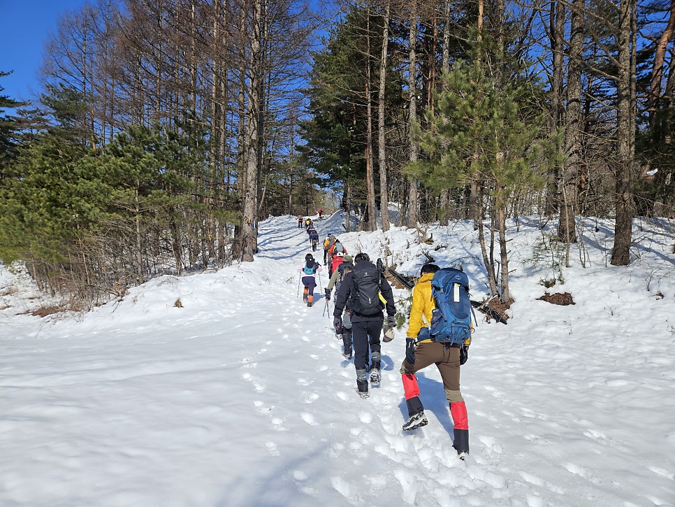 닭목재 사진 5