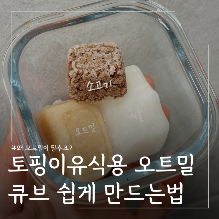  초기 이유식 오트밀 큐브 만들기 초간단 방법 ㅣ오트밀 효능 총정리