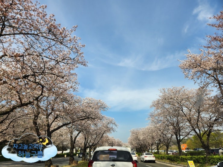경주 벚꽃 숙소 추천, 보문호 벚꽃뷰 호텔