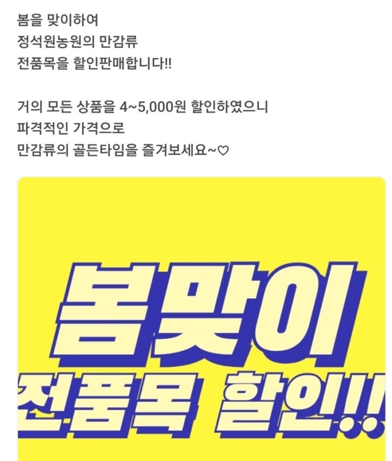 제주 정석원농원 레드향 천혜향 한라봉 봄맞이 파격 할인 안내