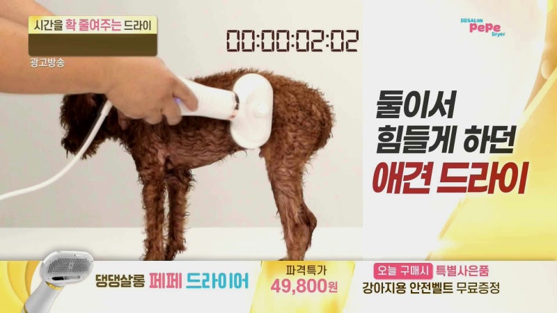 사진 4