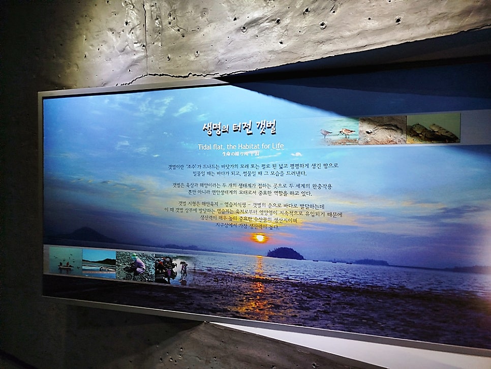 전호남수석전시관 사진 2