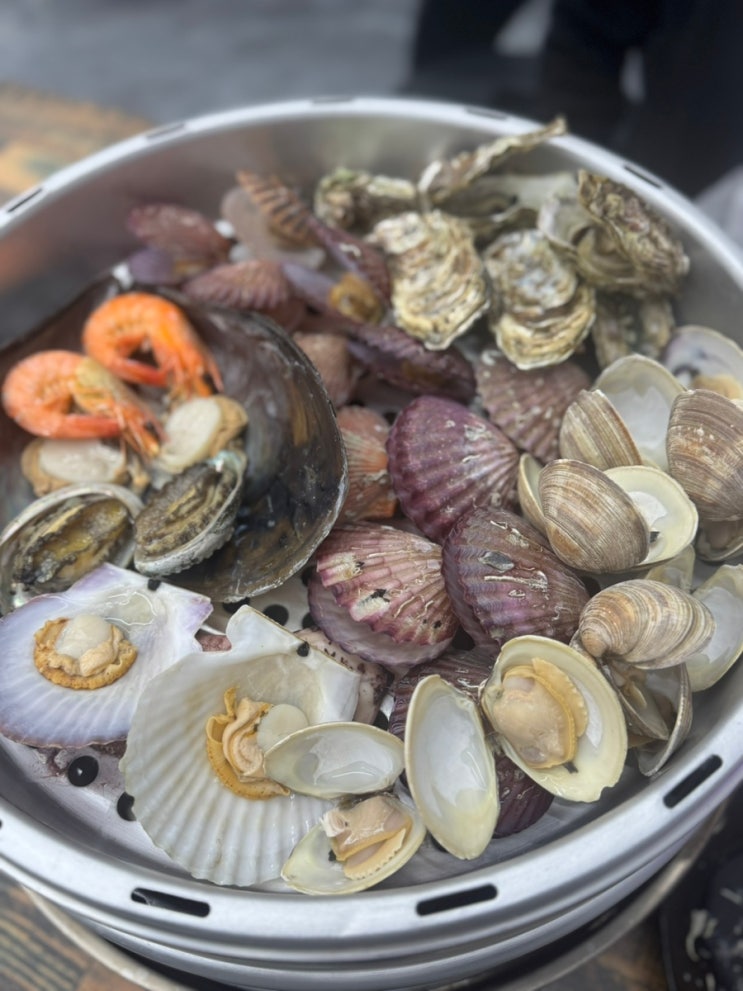  시흥 거북섬 맛집 물회 조개전골 최고 어부신광호