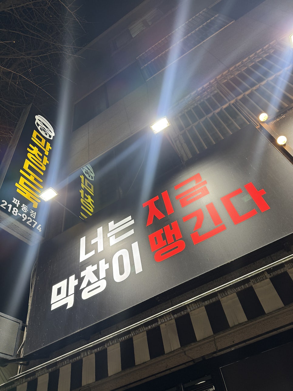 막창도둑 파동점 사진 2