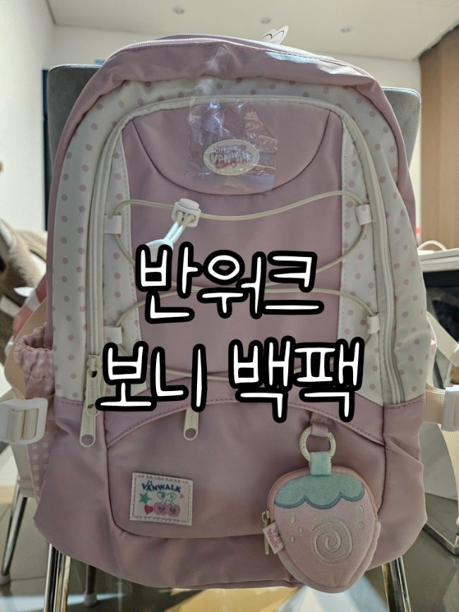 초등학교 책가방 추천 반워크 보니 백팩 핑크 책가방 귀여운 초등학생 가방 후기