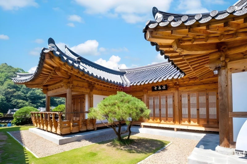 사진 6