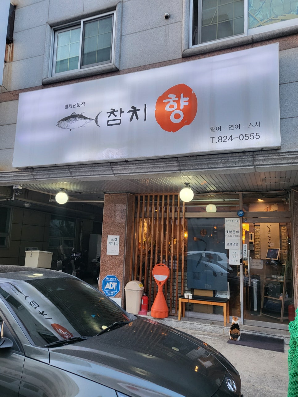 참치향 사진 1