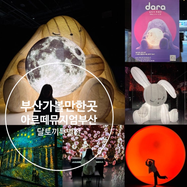  부산여행 부산가볼만한곳 영도 부산 실내데이트 아르떼뮤지엄 부산  달토끼 특별전 토요일 방문후기 (+ 테마, 티켓구입, 포토존, 편의시설, 주차 정보 등등)