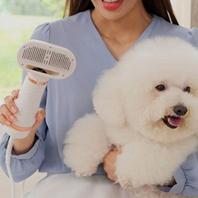 사진 3