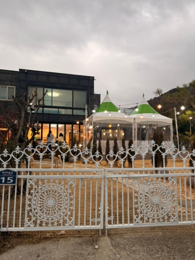 사진 4