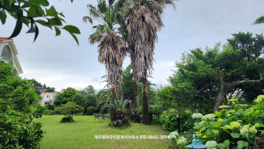 솔바람파도소리펜션 사진 2