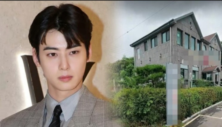  차은우 5700평 땅 매입? 1인 기획사 탈세 의혹까지… 장어집 부지 논란의 진실은 