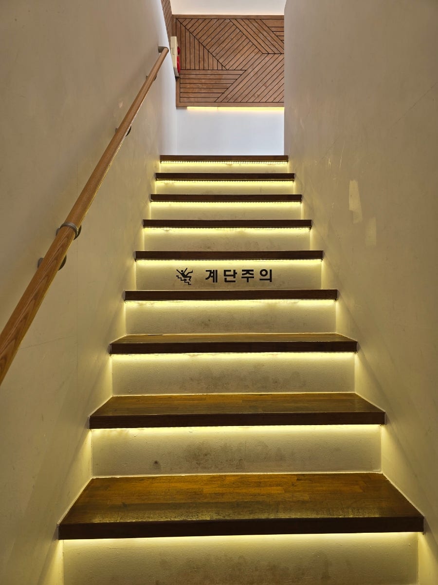 피랑 사진 5