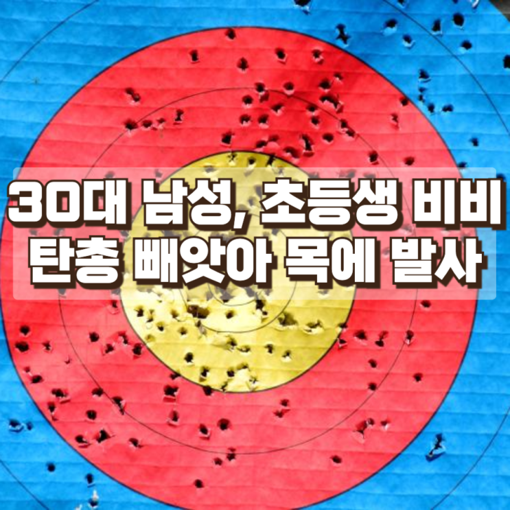  충주 공원서 30대 남성, 초등생 비비탄총 빼앗아 목에 발사…경찰 조사 중