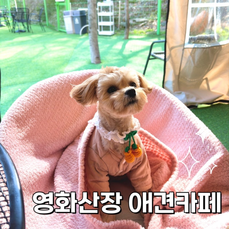 사진 3