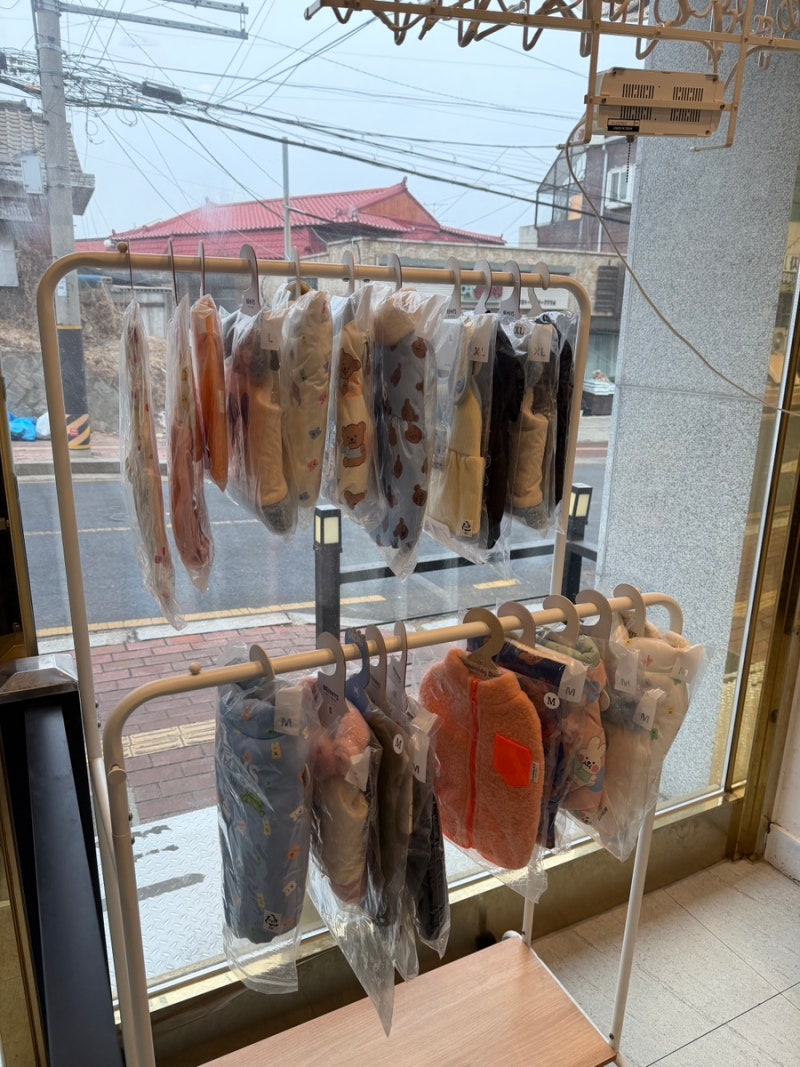 사진 5