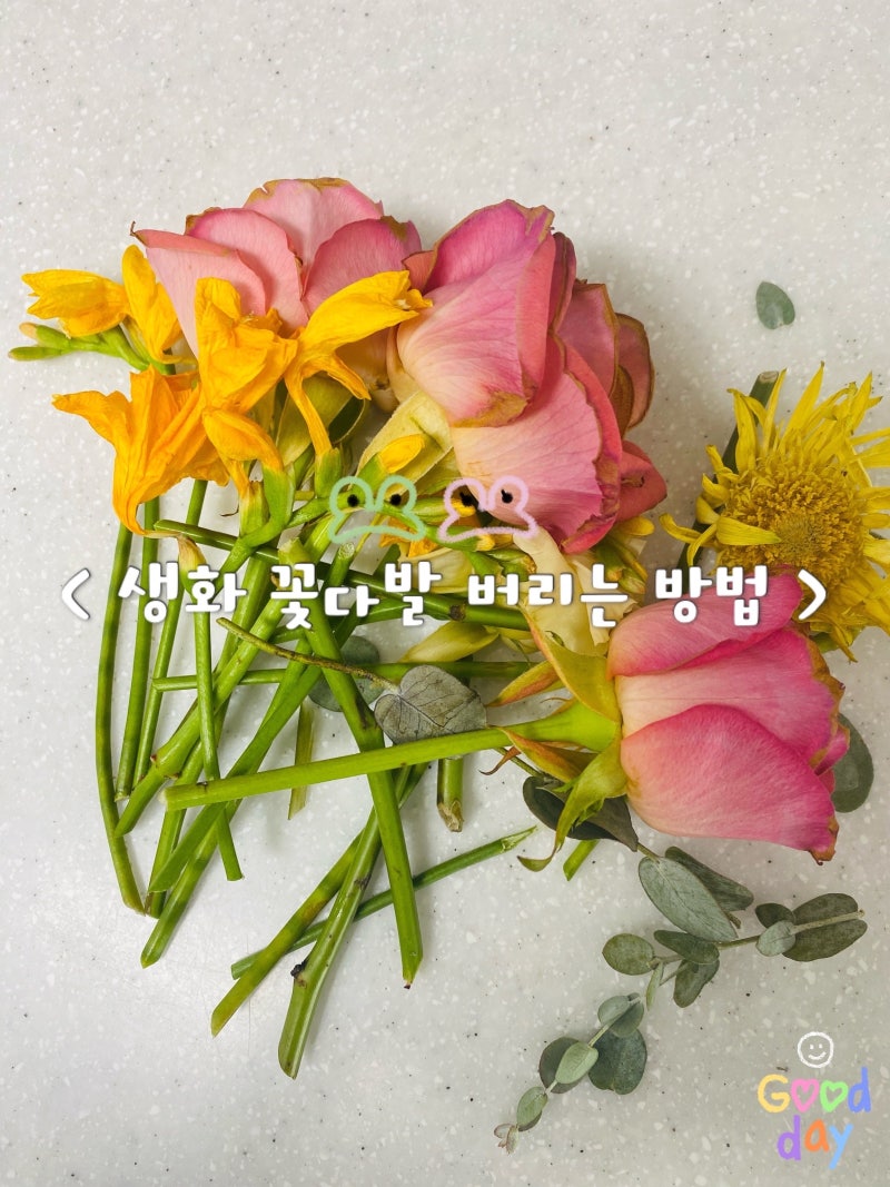 생화 꽃다발 버리는 방법, 꽃다발 분리수거 정리