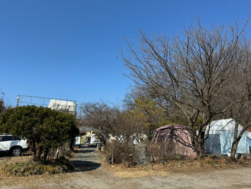 사진 4