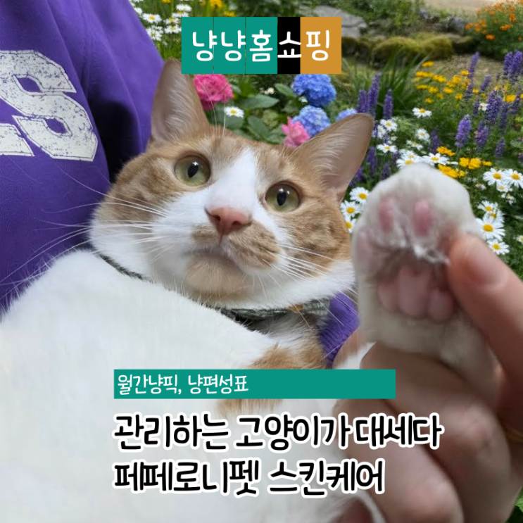  페페로니펫 고양이 스킨케어 후기 피부진정 케어 냥젤리 클렌저 사용