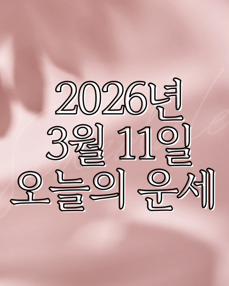  2026년 3월 11일 운세 오늘의운세 띠별운세