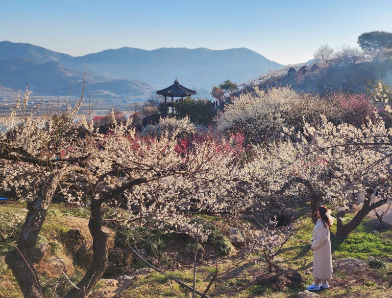 사진 7