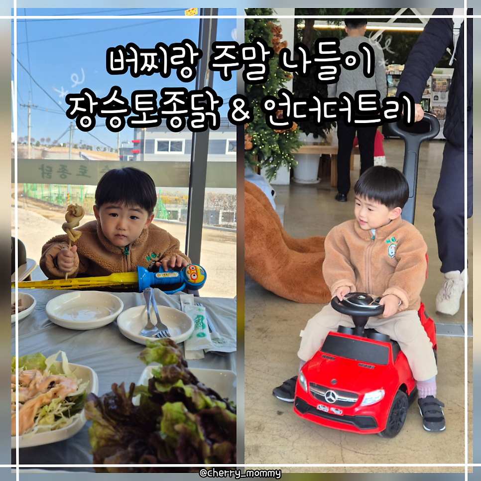 장승토종닭 사진 1