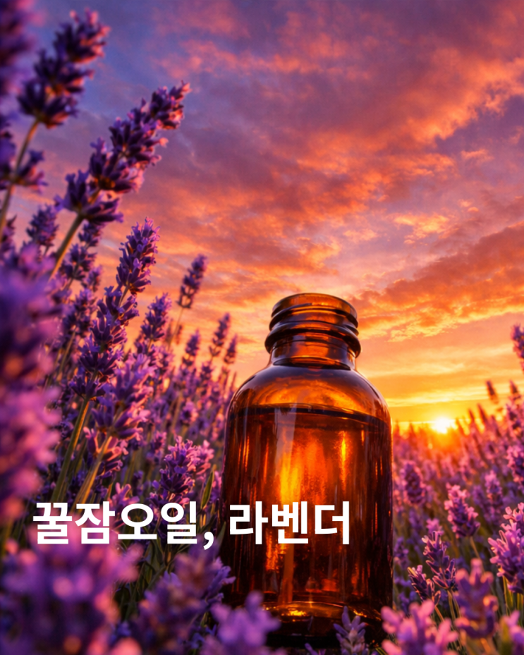  에센셜오일추천, 12년차 전문가가 딱 5가지만 골라드립니다