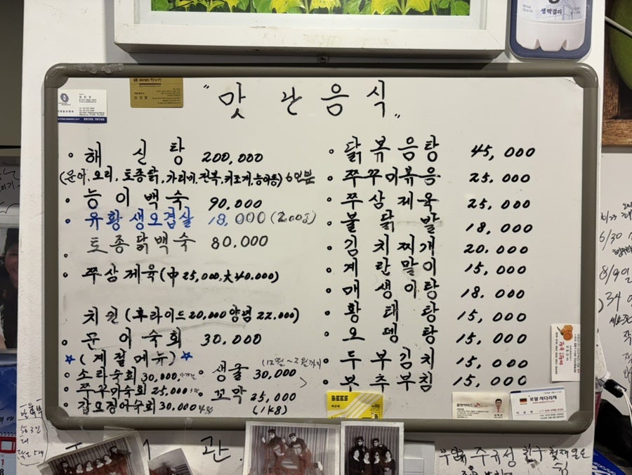 마이데이 사진 3
