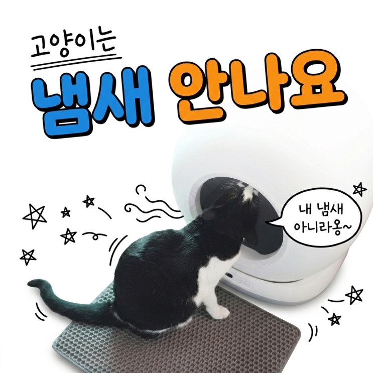  고양이 냄새 안 난다는데 우리집에서 나는 이 냄새의 정체는?