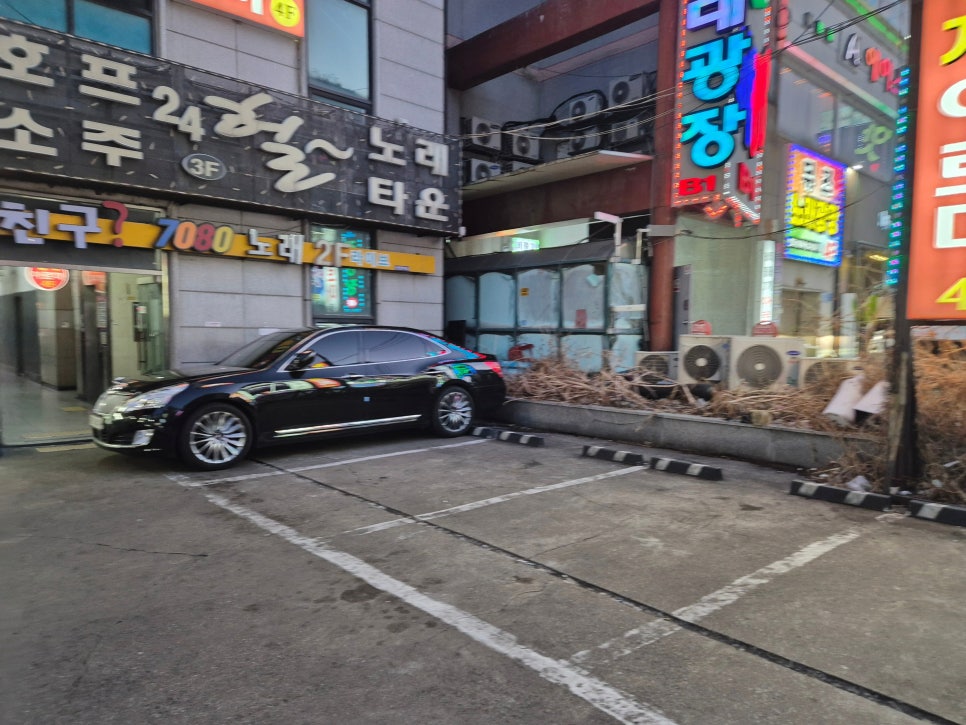 넝쿨집 사진 2