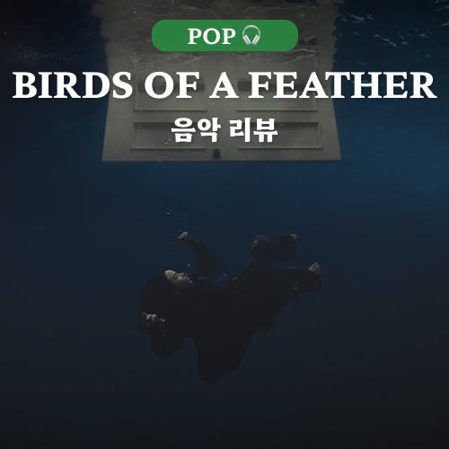 새처럼 너에게 날아가고 싶어 | Billie Eilish - Birds of a Feather 가사 해석 | 팝송 음악 평론