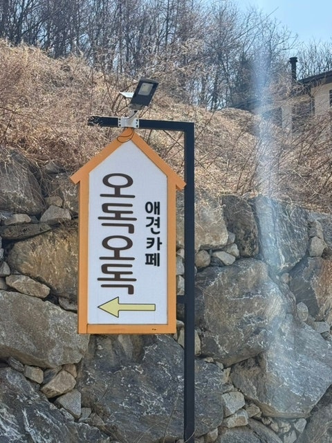 사진 2