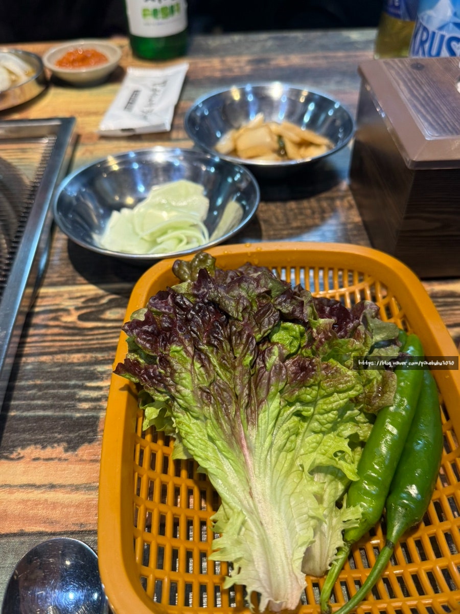 은행나무갈매기 안산점 사진 5