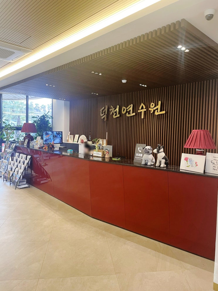  [내돈내산] 제주 덕천연수원 본관 온돌방 2박 후기 무료 조식 저녁 바비큐